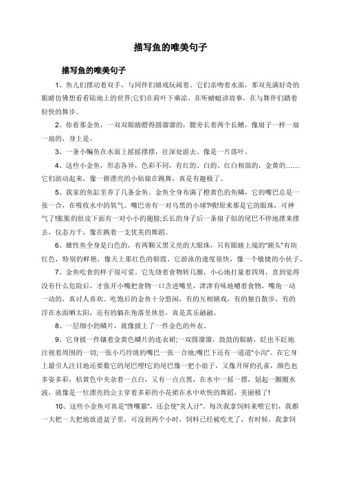鱼儿在水中游的唯美句子 - 百度文库