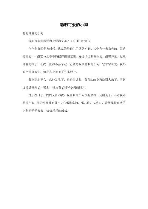 聪明可爱的小狗深圳市南山区学府小学海文部3(4)班 沈弥尔今年春节回