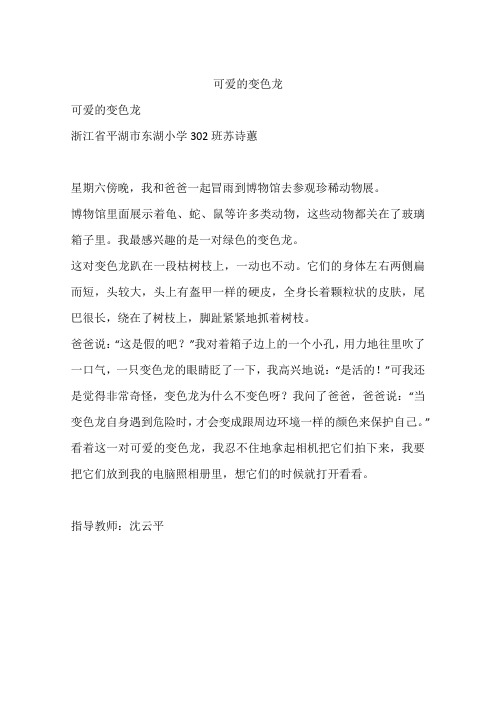 可爱的变色龙 可爱的变色龙浙江省平湖市东湖小学302班苏诗蕙星期六