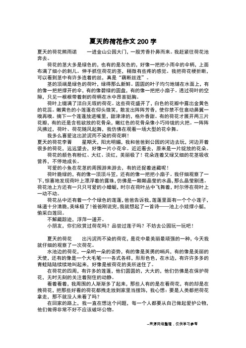 夏天的荷花熊雨诺 一进金山公园大门,一股芳香扑鼻而来.