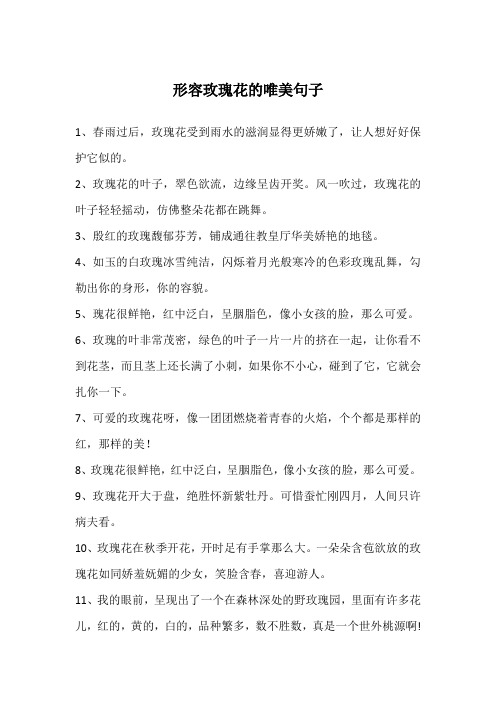 2,玫瑰花的叶子,翠色欲流,边缘呈齿开奖.