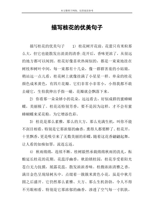 桂花好像喜欢热闹似的,都是一束束地挂在树枝和树
