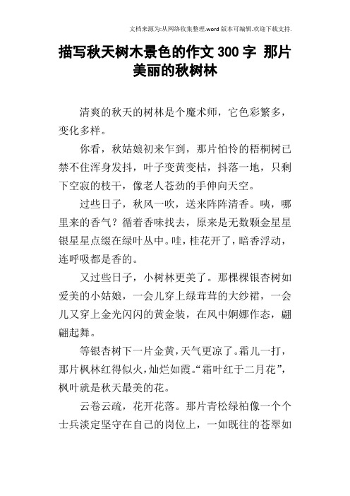 描写秋天树木景色的作文300字 那片美丽的秋树林 清爽的秋天的树林是