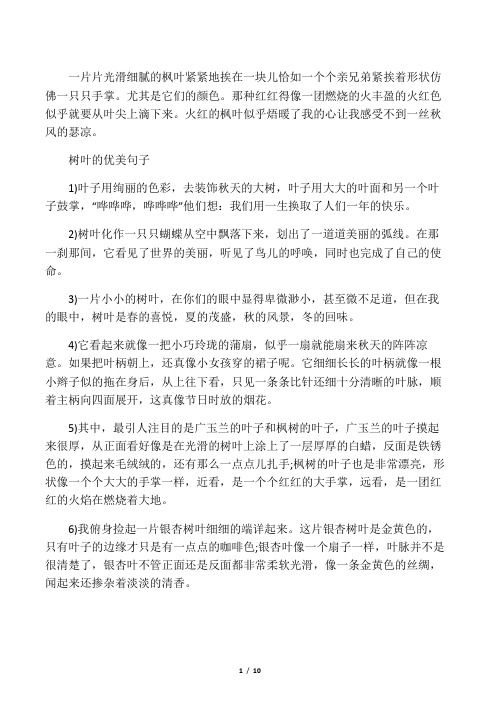 那种红红得像一团燃烧的火丰盈的火红色似乎就要从叶尖上滴下来.