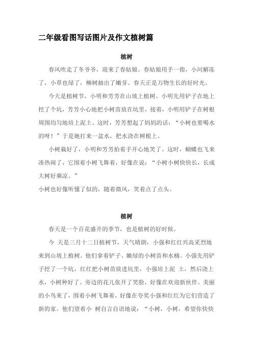 二年级看图写话图片及作文植树篇 植树 春风吹走了冬爷爷,迎来了春