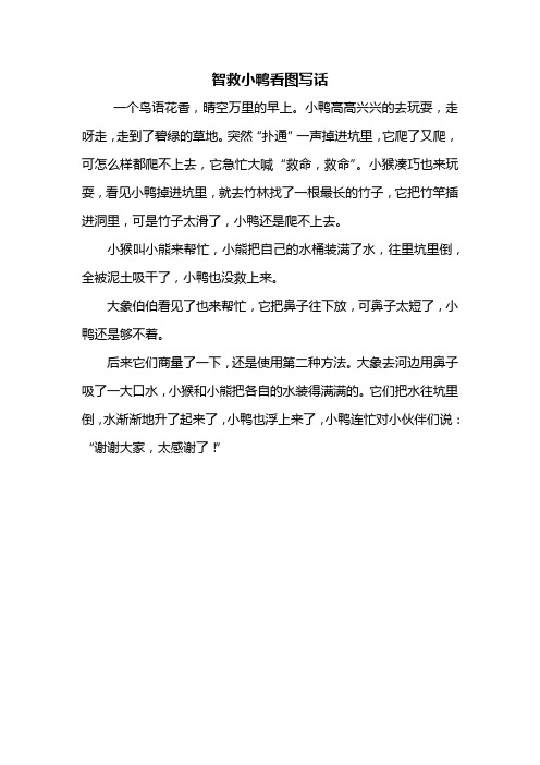 智救小鸭看图写话 一个鸟语花香,晴空万里的早上.