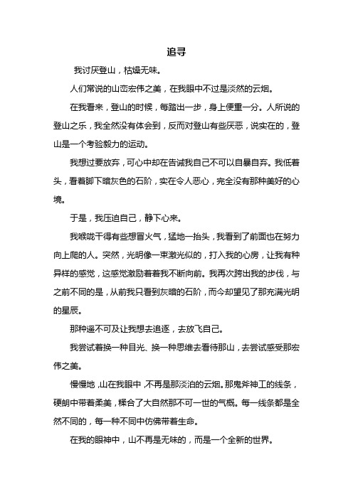 追寻作文600字 - 百度文库