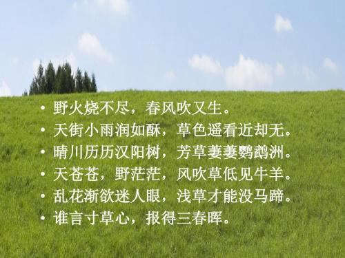 天街小雨润如酥,草色遥看近却无. 晴川历历汉阳树,芳草萋萋鹦鹉洲.