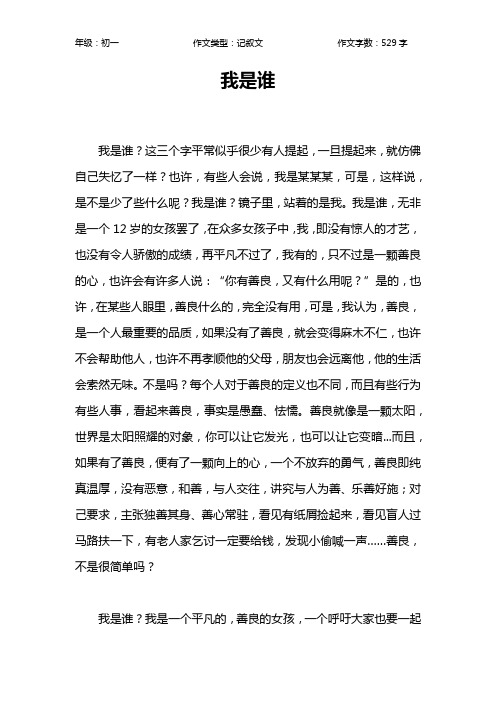 我是谁?镜子里,站着的是我.我是谁,无非是一个12496_702竖版 竖屏
