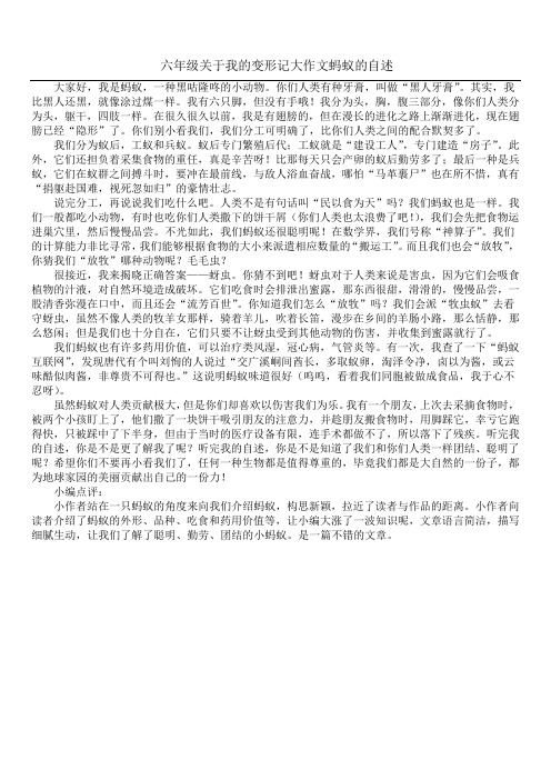 六年级关于我的变形记大作文蚂蚁的自述 大家好,我是蚂蚁,一种黑咕隆