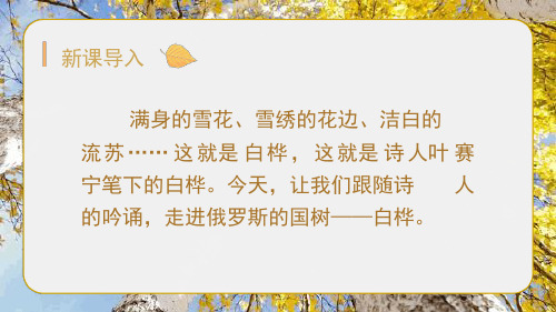 今天,让我们跟随诗 人 的吟诵,走进俄罗斯的国树——白桦.