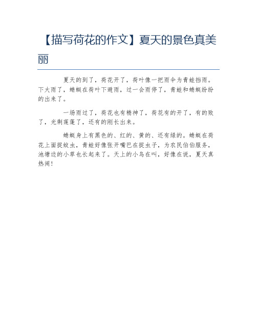 夏天的荷花作文 - 百度文库