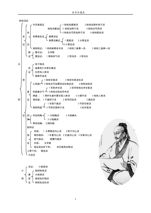 傷寒論圖表 桂枝湯證 中風表虛證 1 桂枝加葛根湯 2 桂枝加厚朴杏子湯