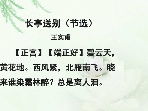 西风紧,北雁南飞.晓 来谁染霜林醉?总是离人泪.