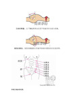 孕妇腹围宫高对照表图片