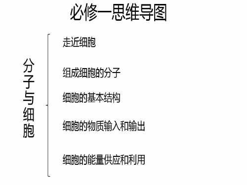 生物必修一第一章思维导图 - 百度文库