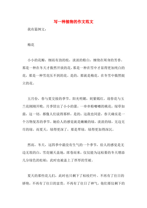 写一种植物的作文范文我有篇例文:梅花小小的花瓣,细而有劲的枝,淡淡