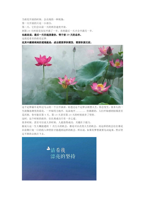到第29天时荷花仅仅开满了一半,直到最后一天才会开满另一半.