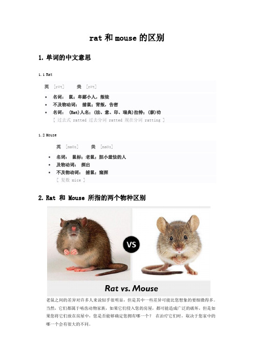 rat和mouse的区别 - 百度文库