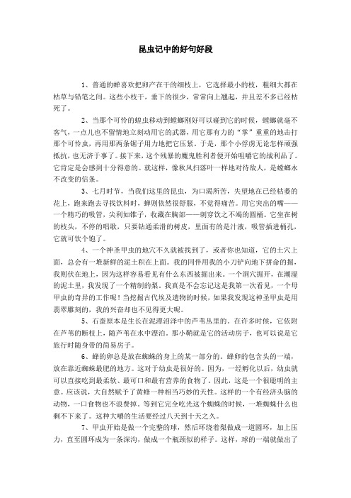 昆虫记中的好句好段 1,普通的蝉喜欢把卵产在干的细枝上,它选择最小的