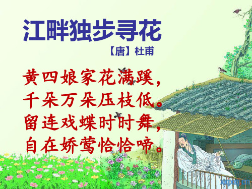 江畔独步寻花 【唐】杜甫 黄四娘家花满蹊, 千朵万朵压枝低.