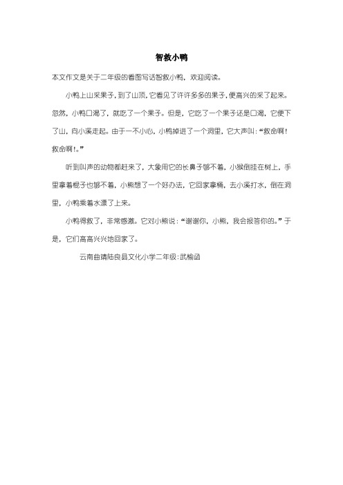 本文作文是关于二年级的看图写话智救小鸭,欢迎阅读.