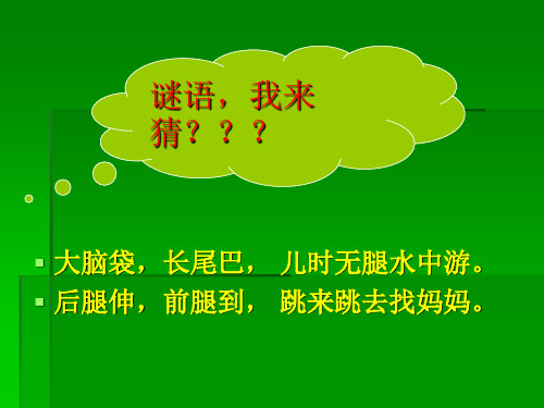 谜语,我来 猜? 大脑袋,长尾巴, 儿时无腿水中游.
