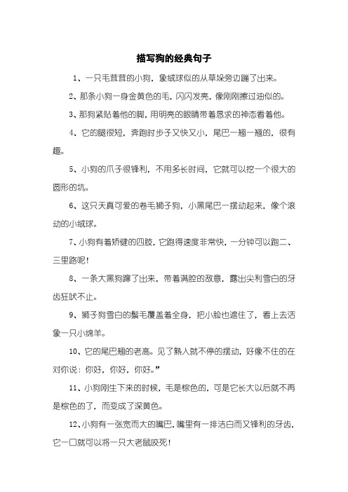 小狗可爱的句子怎么写 - 百度文库