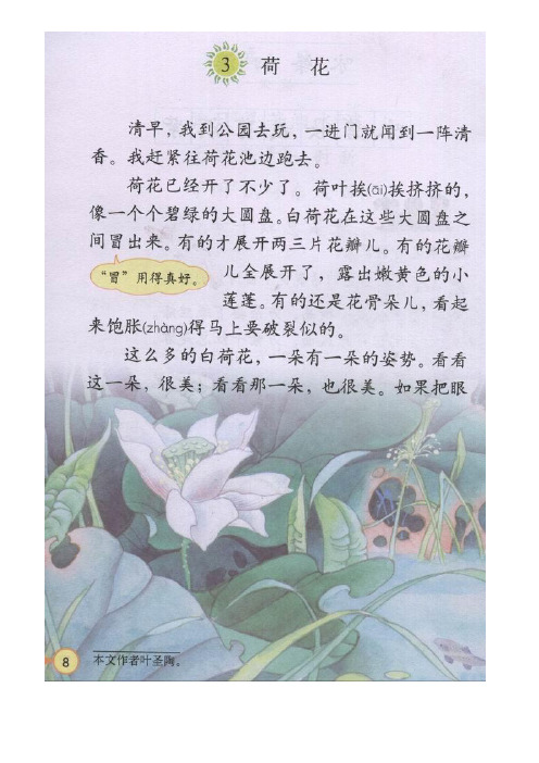 课文荷花 - 百度文库