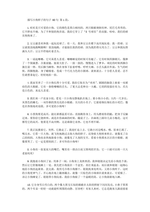 旺旺是只可爱的小狗,它的颜色是黑白相间的,两只眼睛炯炯有神,尾巴