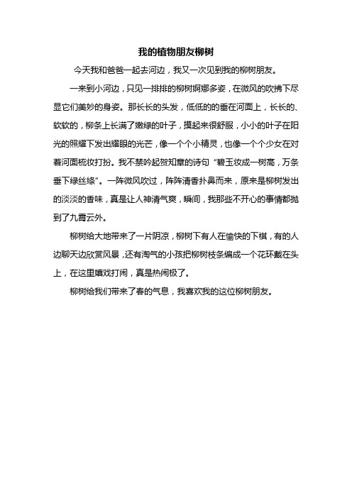 我的植物朋友柳树 今天我和爸爸一起去河边,我又一次见到我的柳树朋友