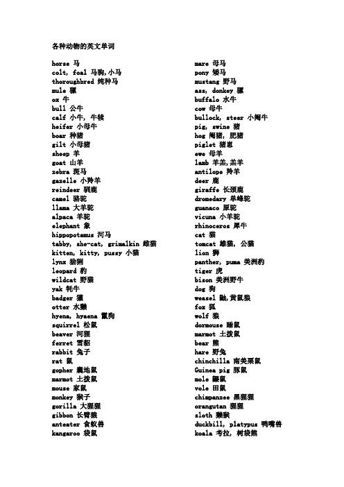 各种动物的英文单词 hrse 马 clt, fal 马驹,小马 thrughbred 纯种马
