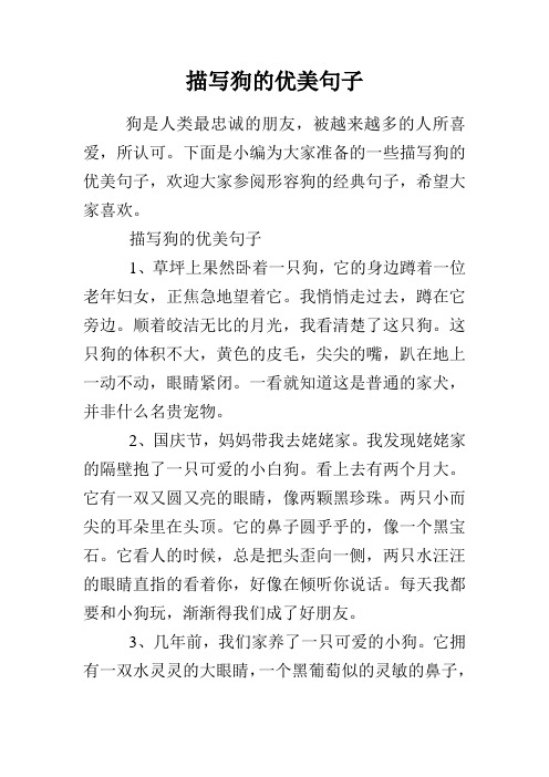 下面是小编为大家准备的一些描写狗的优美句子,欢迎