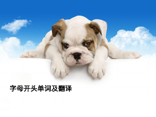 x开头的单词大全集 - 百度文库