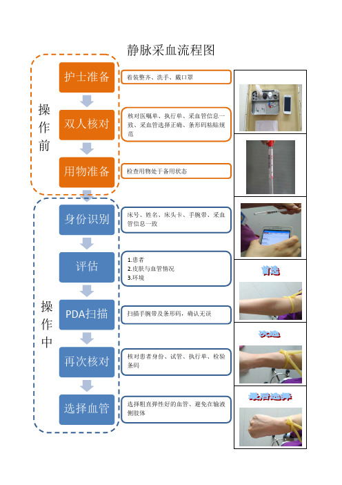 静脉采血试管的顺序是什么 - 百度文库