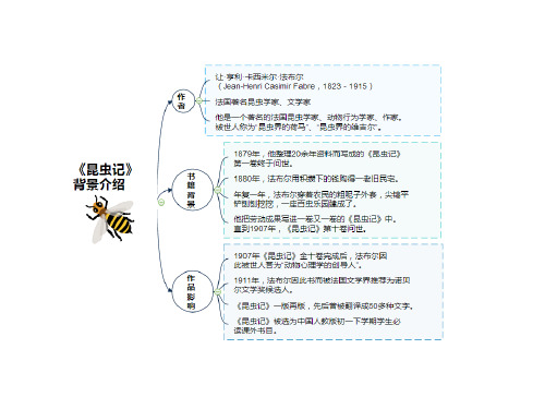 3人下载                                      昆虫记思维导