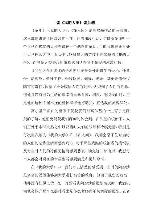 这三部曲讲述了阿廖沙的一生,他的那段生活,仿佛就是在听一个善良而