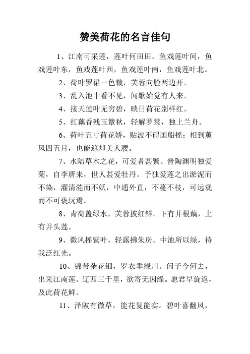 一句赞美荷花的句子 - 百度文库