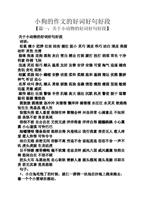 关于小动物的好词好句好段 词语: 松鼠瘦小肥胖壮实结实健壮胆小灵巧