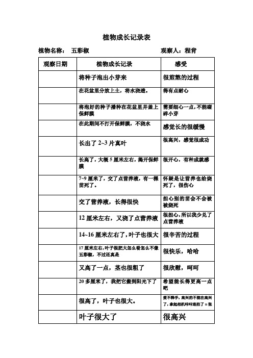 植物名稱:五彩椒觀察人:程肯 觀察日期|植物成長記錄| 感受| 將種子泡