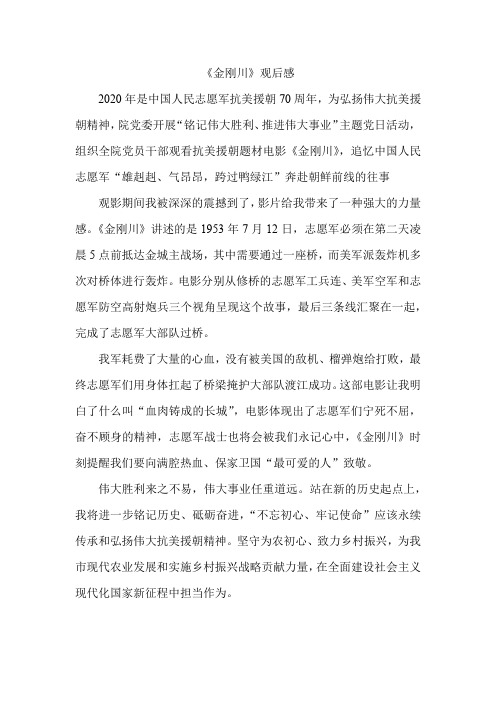 抗美援朝精神,院党委开展"铭记伟大胜利,推进伟大事业"主题党日活动