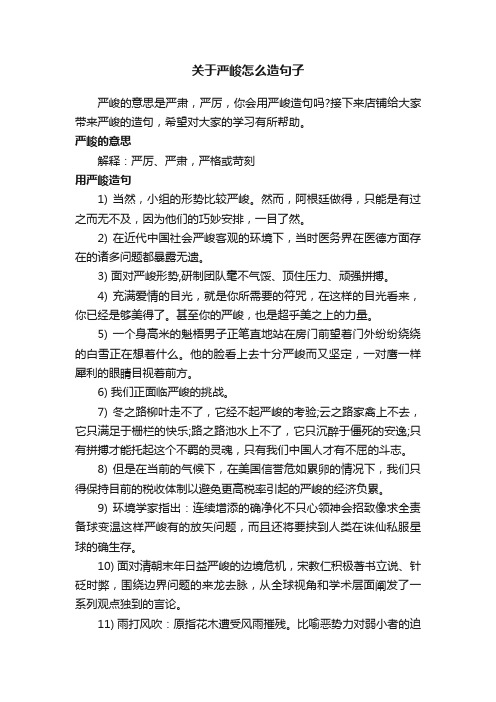 关于严峻怎么造句子