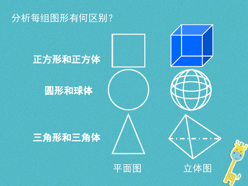 正方形和正方體 圓形和球體 三角形和三角體 平面圖 立體圖 2 手繪