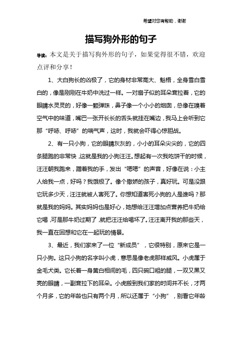 描写狗的外貌优美句子 - 百度文库