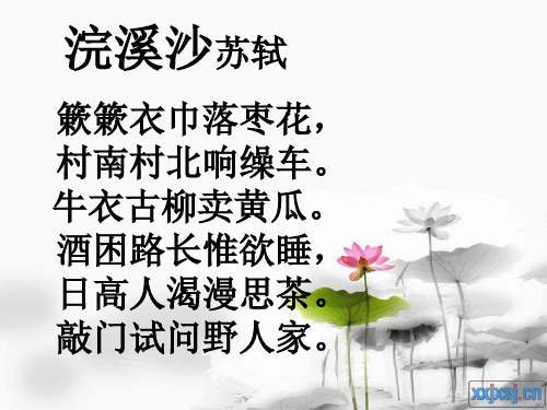 浣溪沙苏轼 簌簌衣巾落枣花, 村南村北响缲车. 牛衣古柳卖黄瓜.