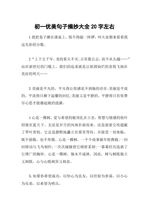 童心向党内容20字