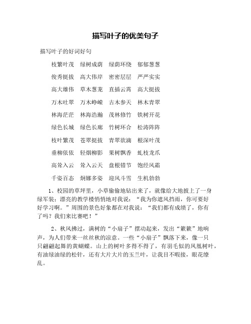 描写叶子的优美句子 描写叶子的好词好句 枝繁叶茂