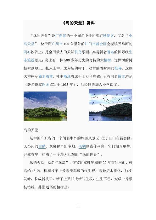 又名"小鸟天堂";位于距广州市100公里外的江门市新会区会城镇天马河的