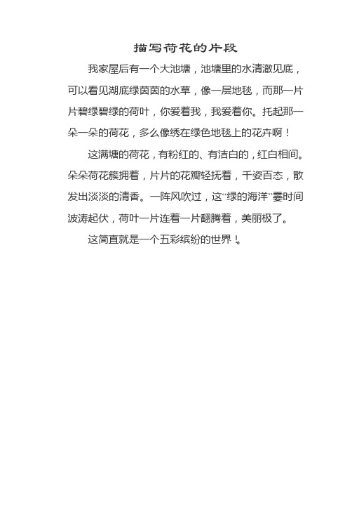 描写荷花的片段 我家屋后有一个大池塘,池塘里的水清澈见底,可以看见