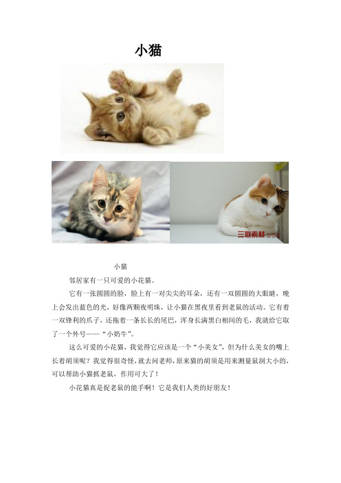 二年级有趣的动物写话 - 百度文库